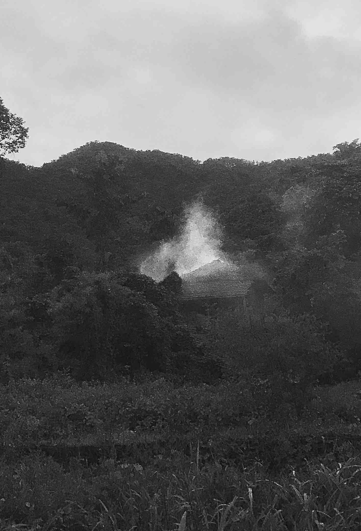 BnW