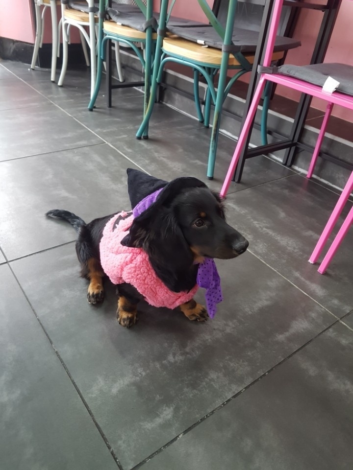 찰스램