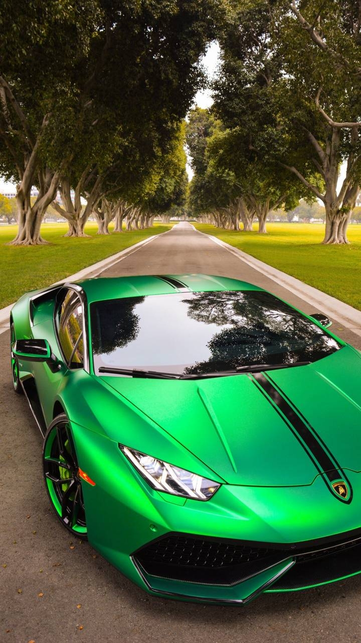 lambo