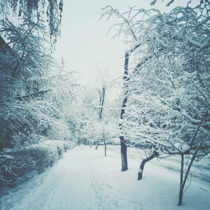 зимняя дорога