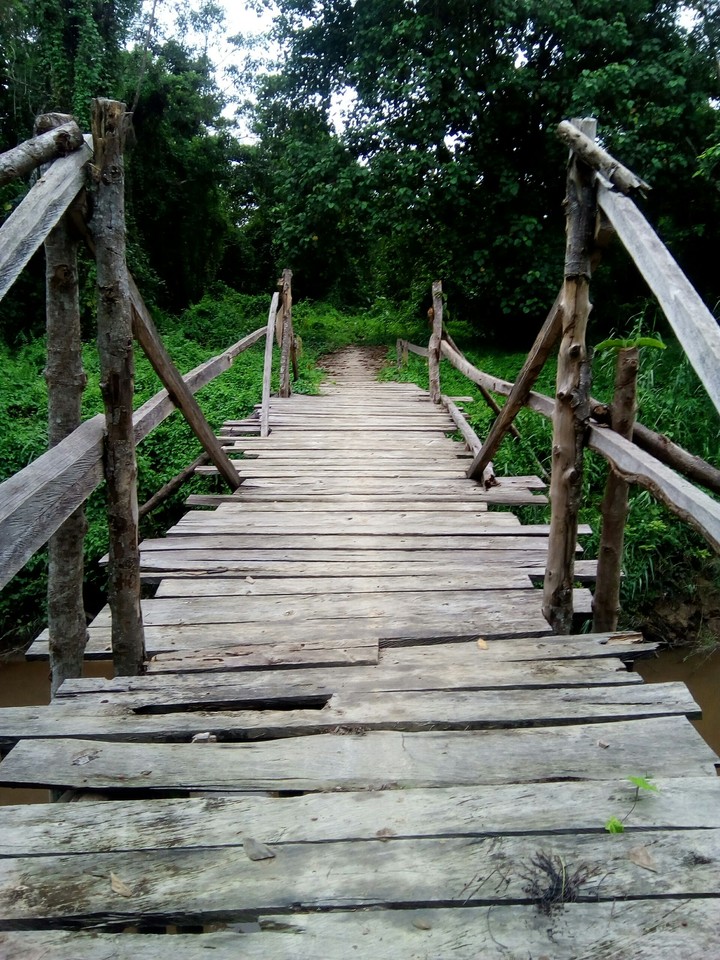 Sweet Bridge