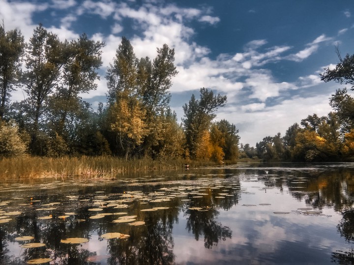 Осень
