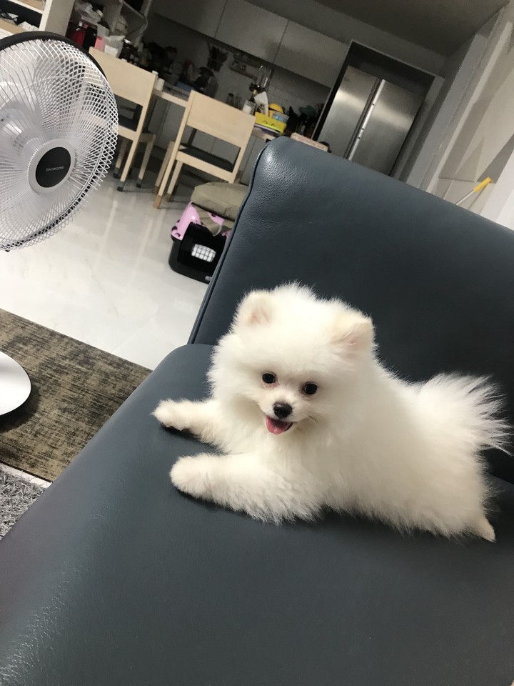 베라
