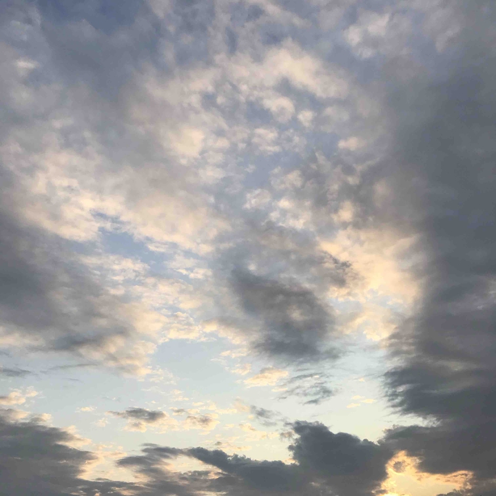 jeju’s skay