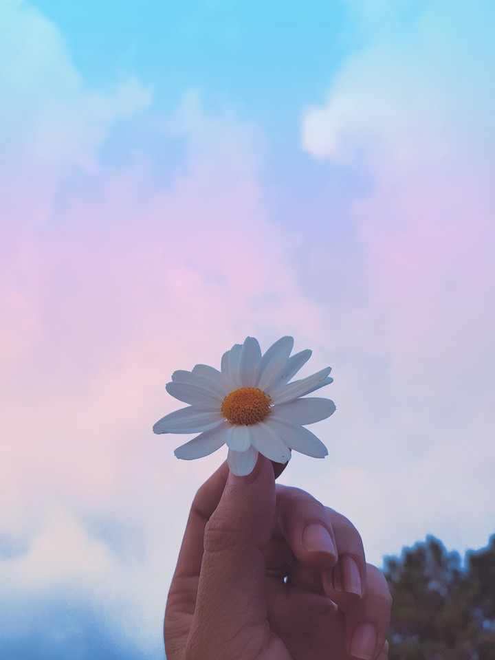 Love Sky <3