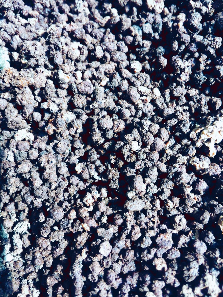 stones