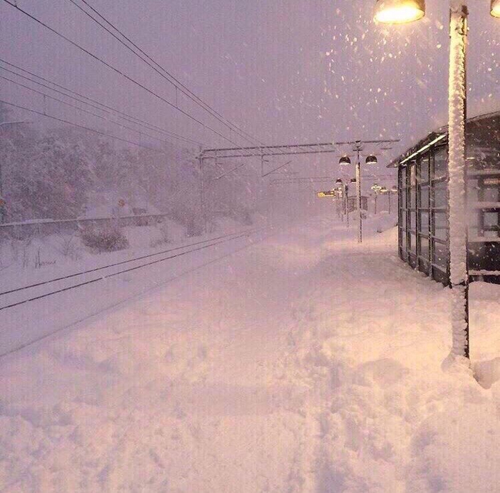 winter