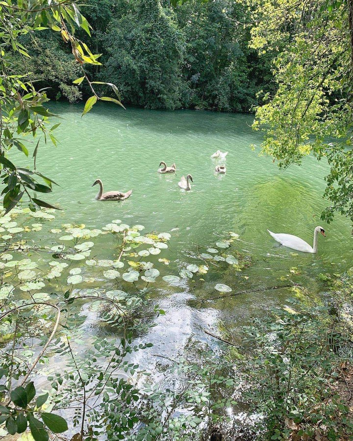 nature