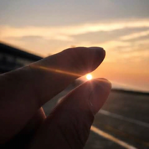 sunshine