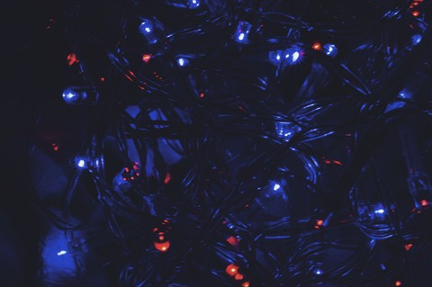 ~ lights are in but nobody is home ~
