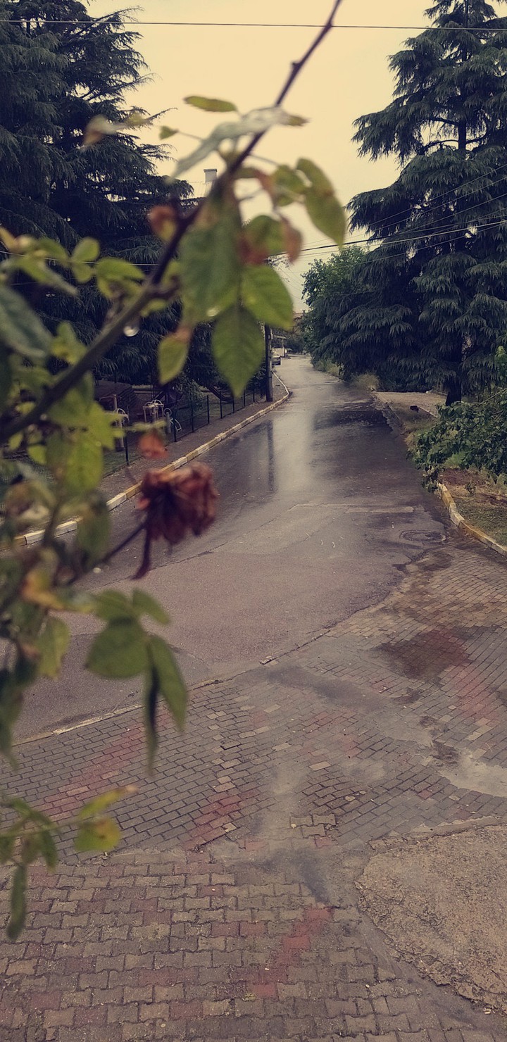 #yağmur