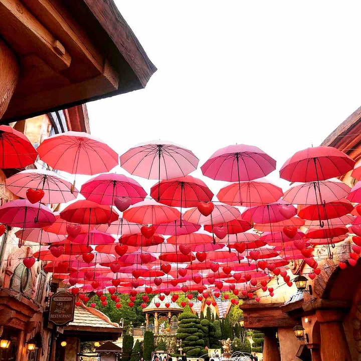 Heart & Umbrella