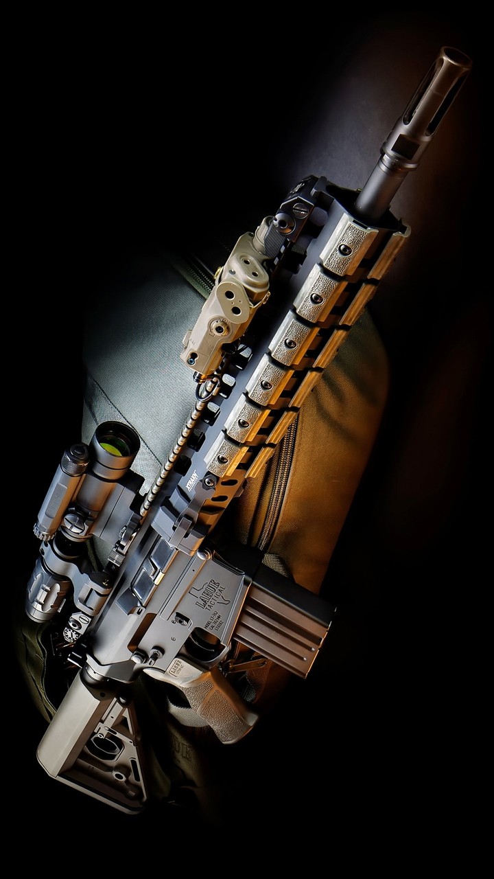 gun