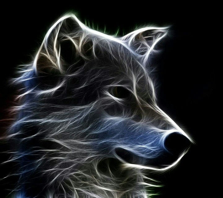 wolf