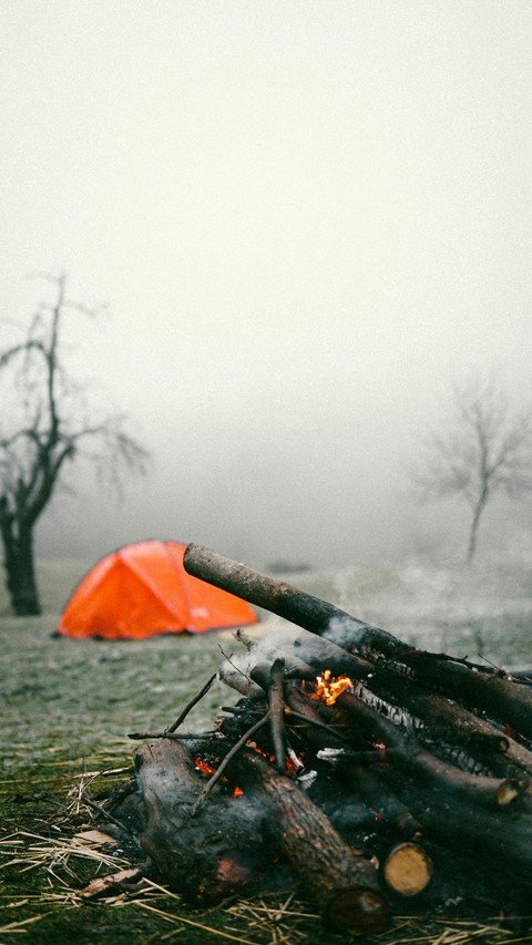 ταπετσαρίες Autumn, winter