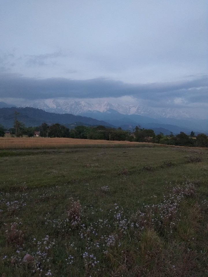 Mountain
