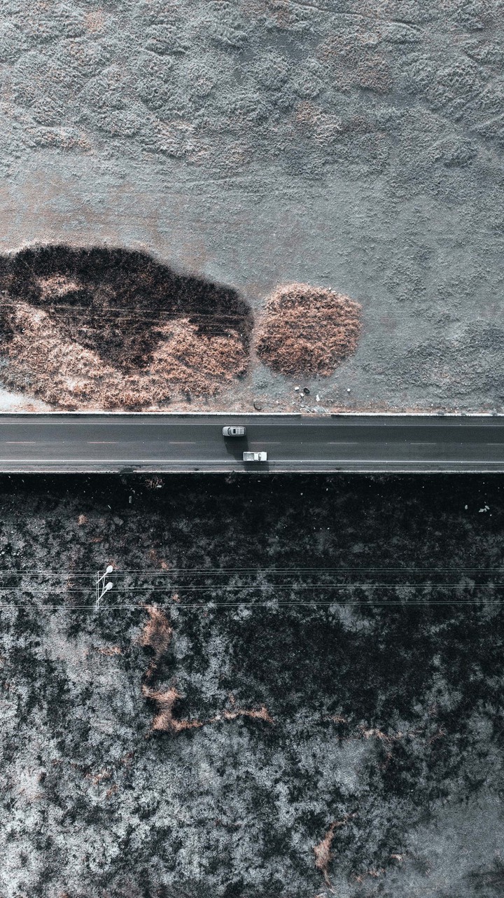 bridge