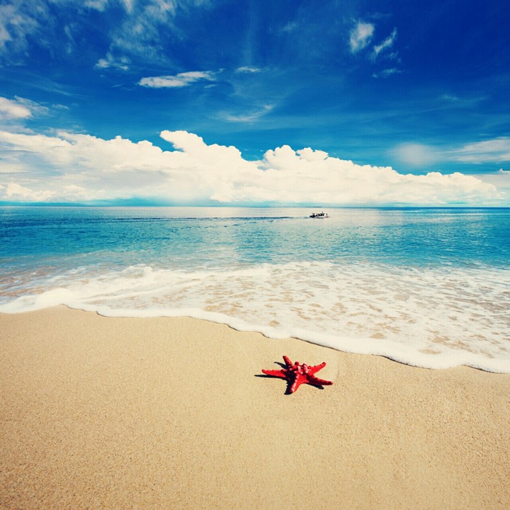 summer♡