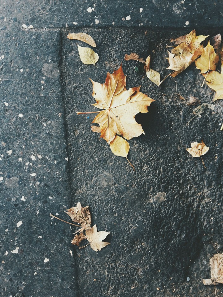 Golden leaf.