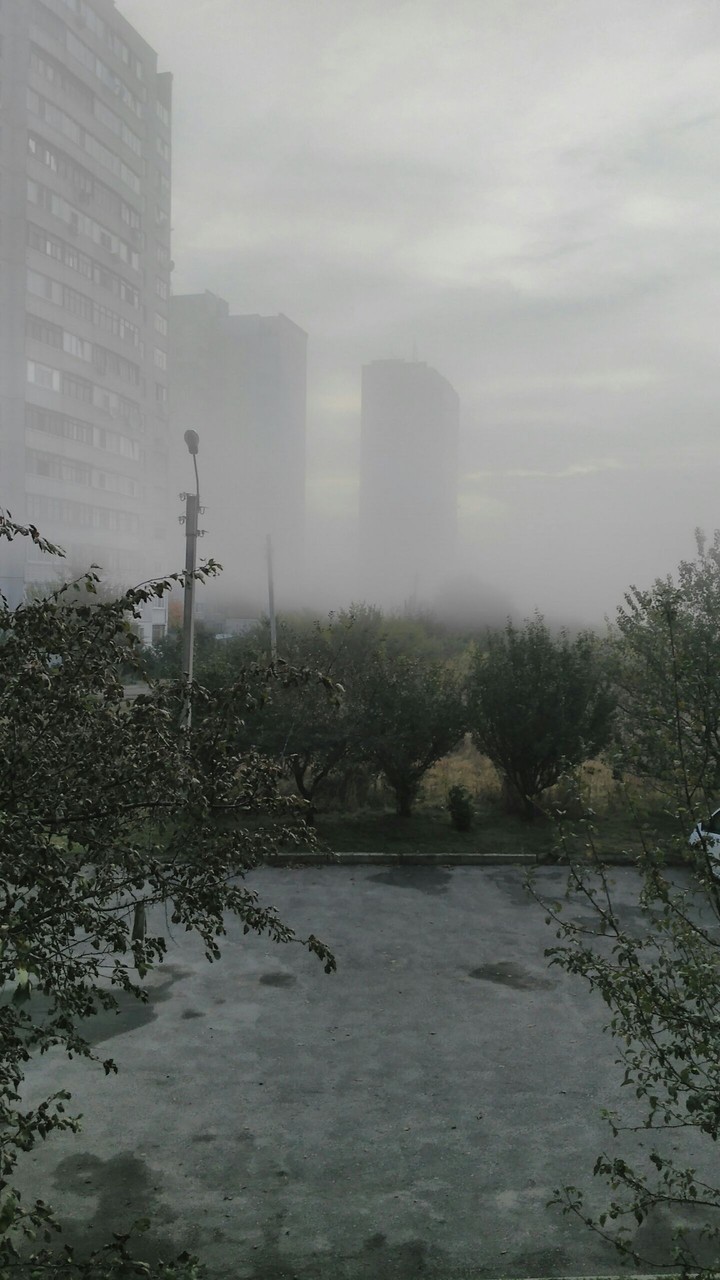 foggy morning