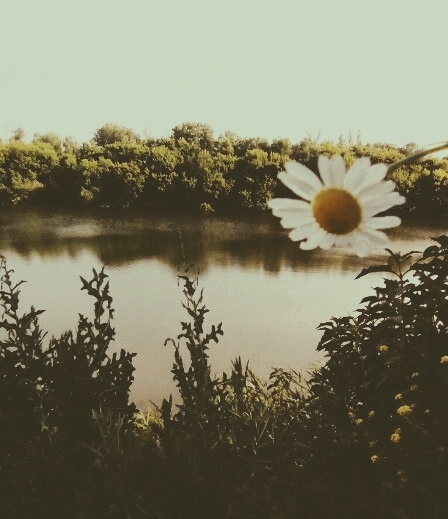 Favorite summer