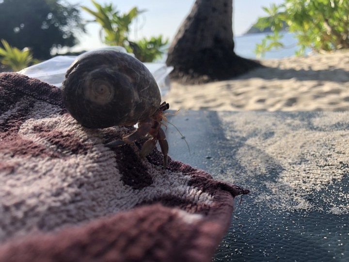 beach cancer