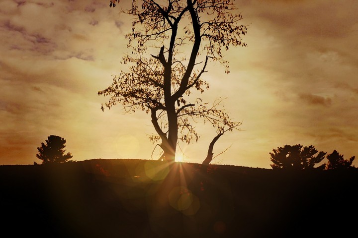 Blissful Sunset