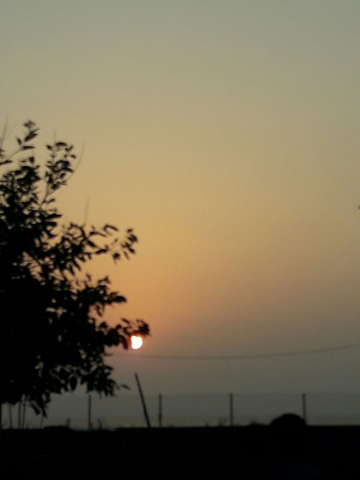 sunset