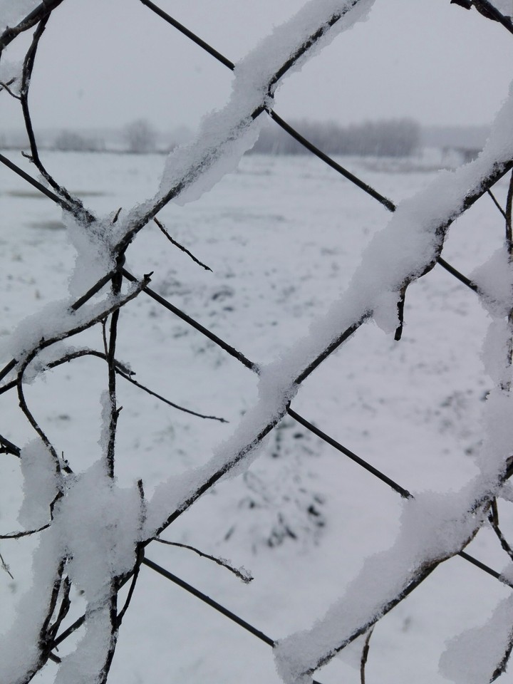 snow