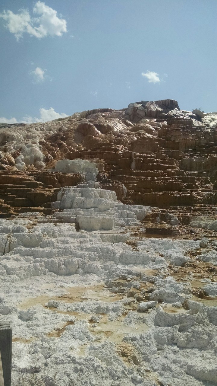 Mammoth Hot Springs