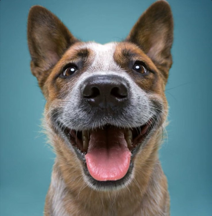 ☺☺☺