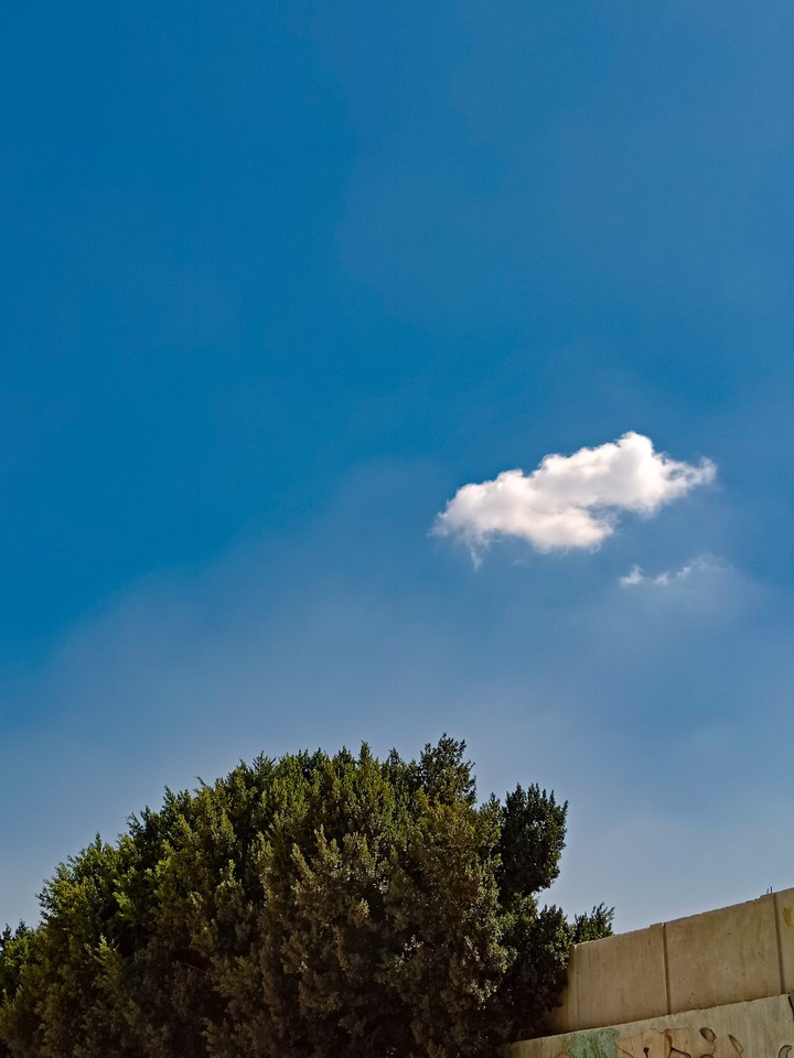 Lonely Sky