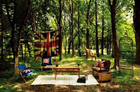 British Mood In The Forest