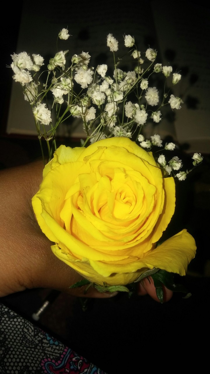 i love flowers