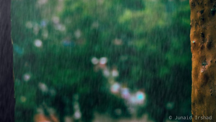 rain