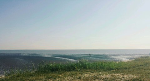 Sea