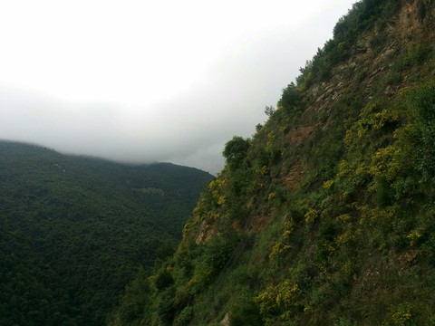 Heights