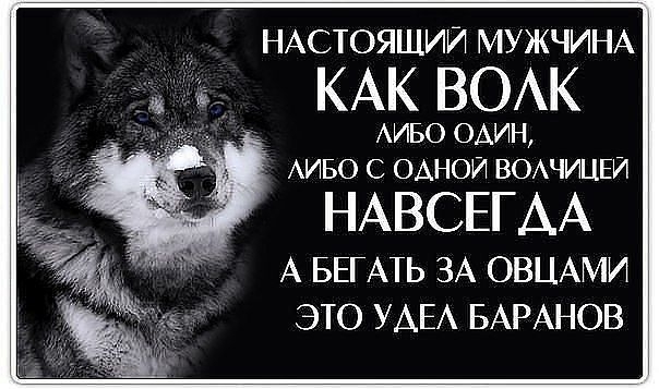 Кредо жизни