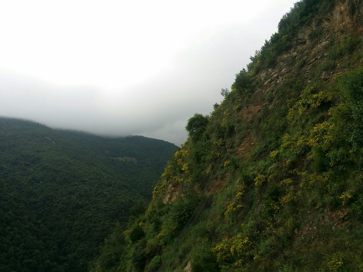 Heights