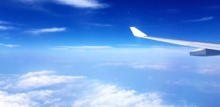 wing