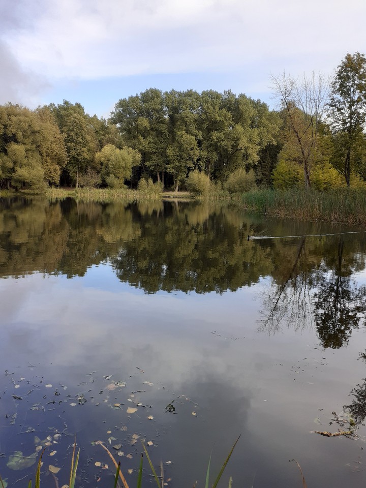 Old city park