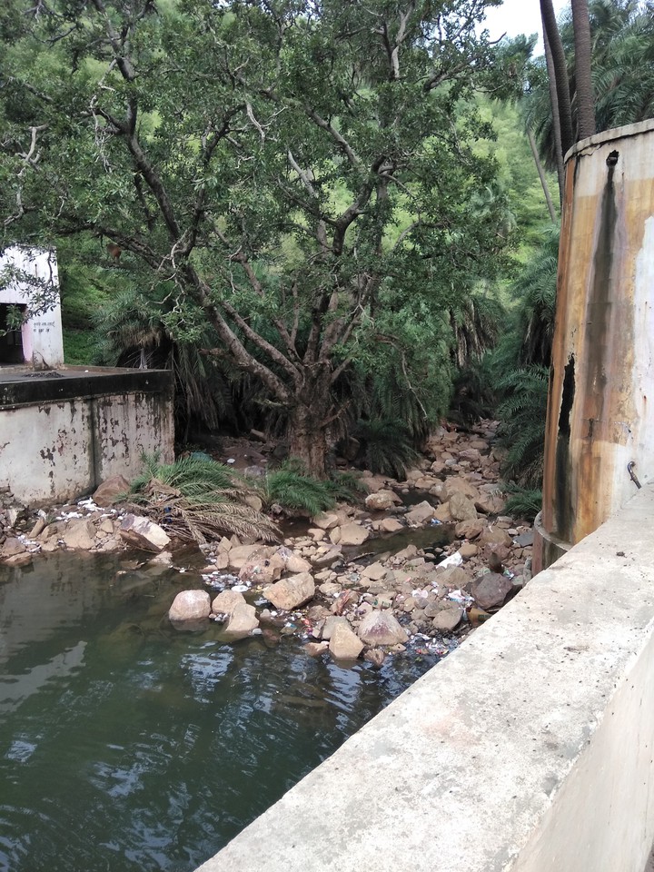 Polluted Nature