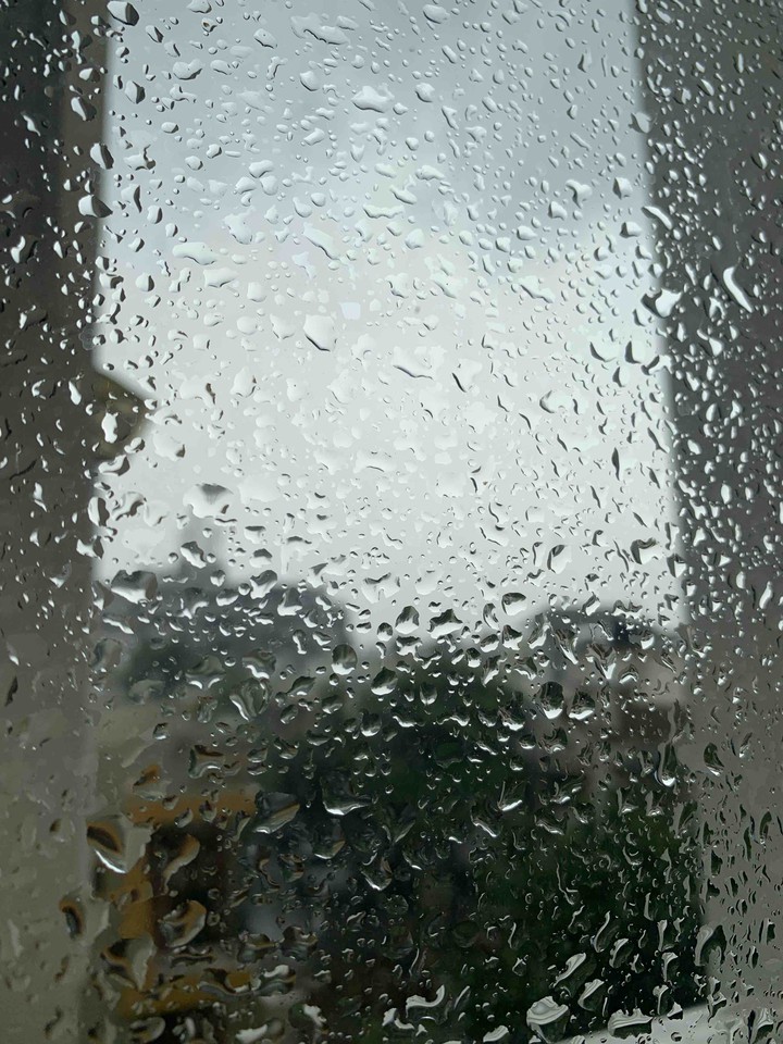 Rainy day