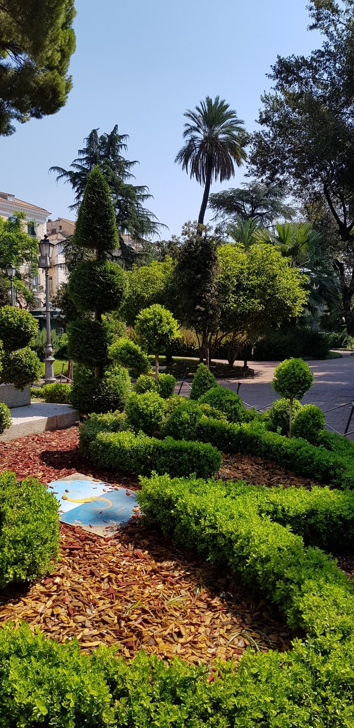 #garden