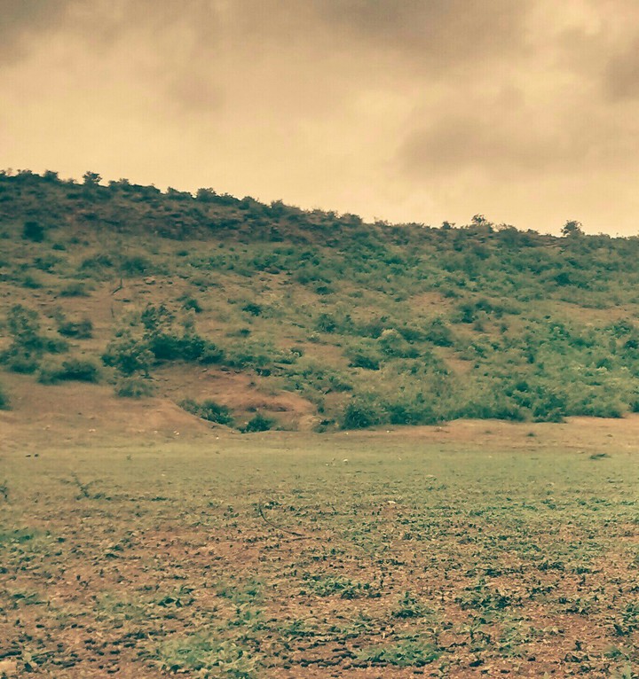 Greenary