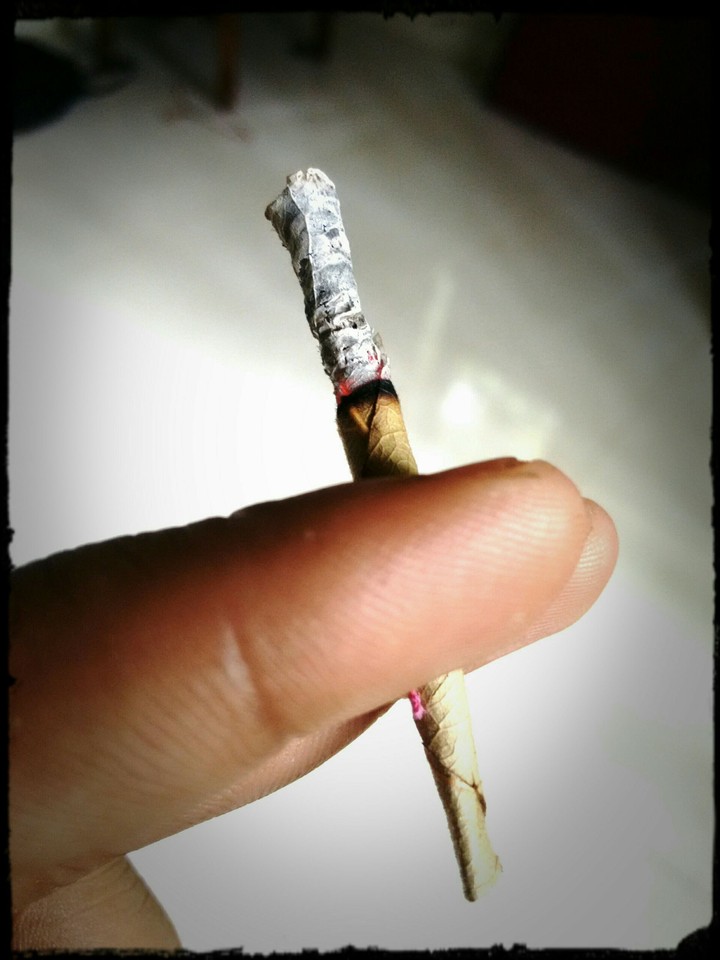 smoking kill's