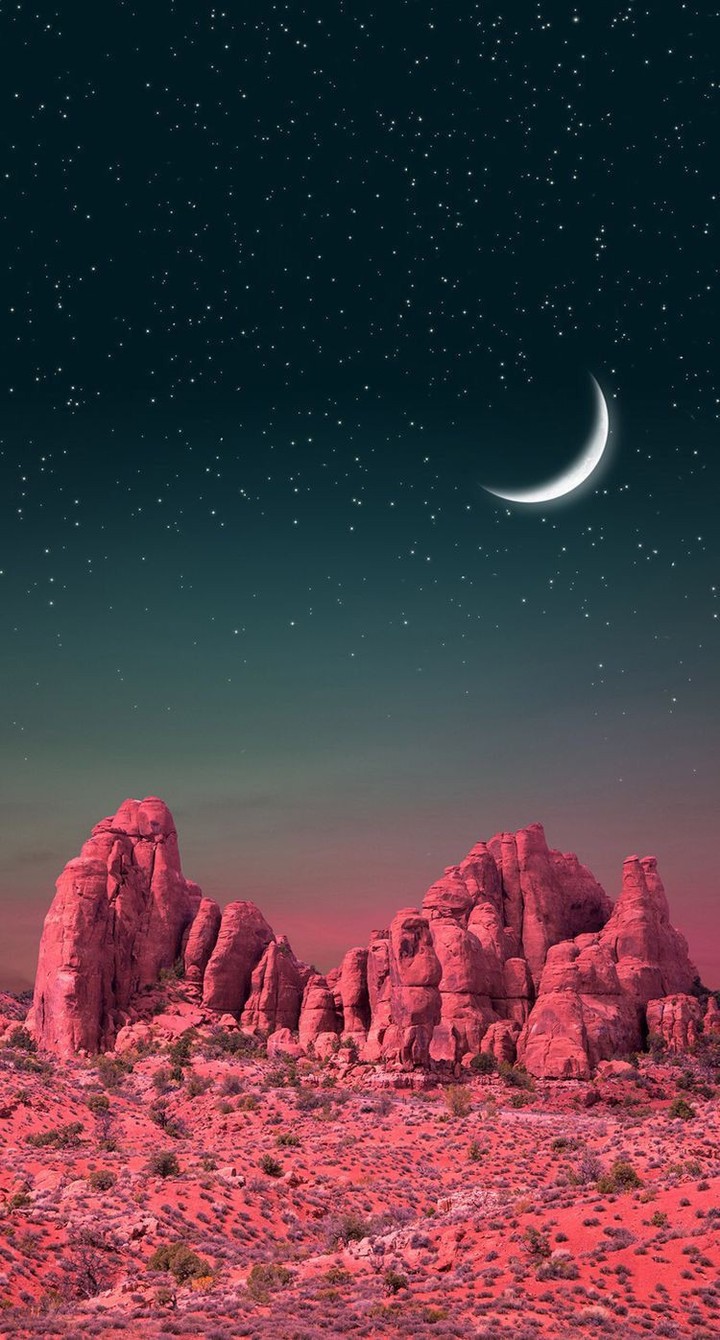 wish me good night