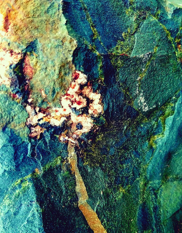 Rocx