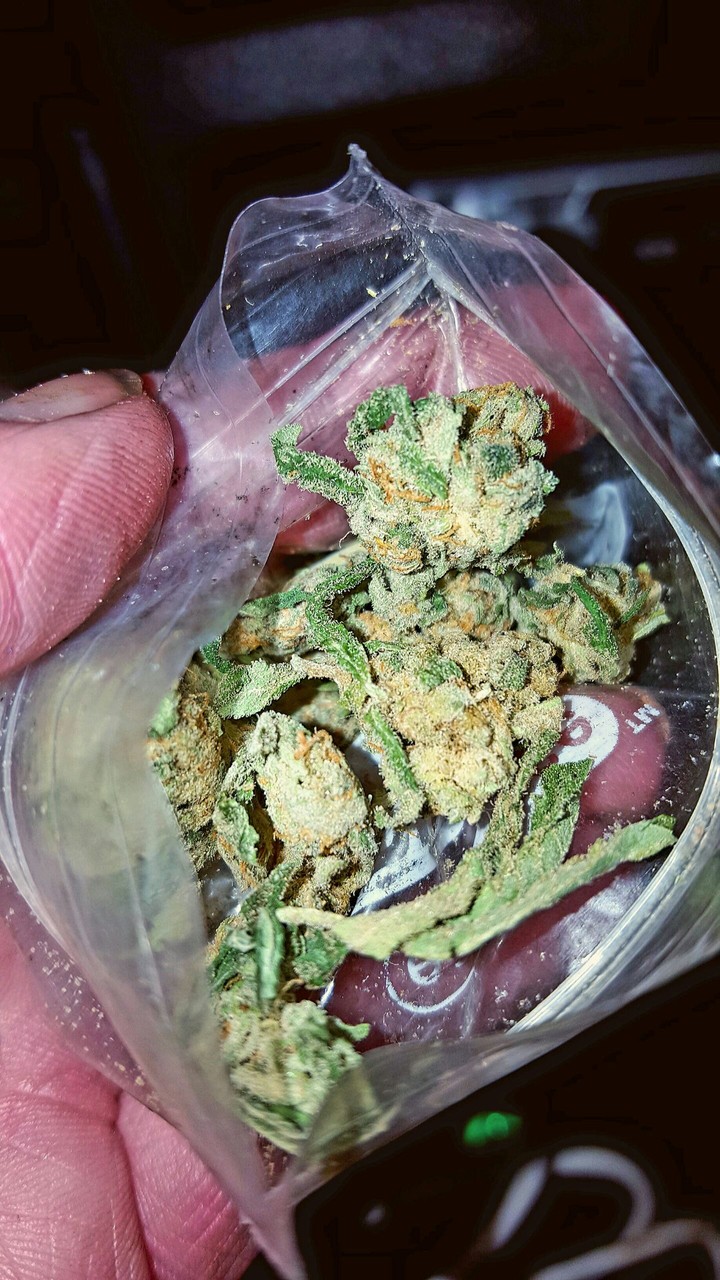 Miss Mary Jane
