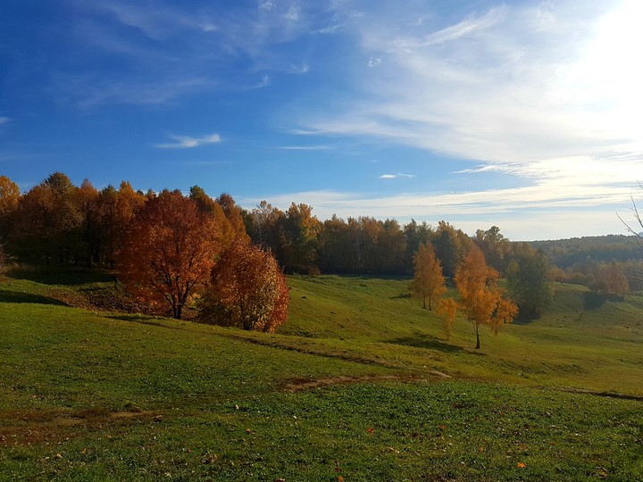 осень